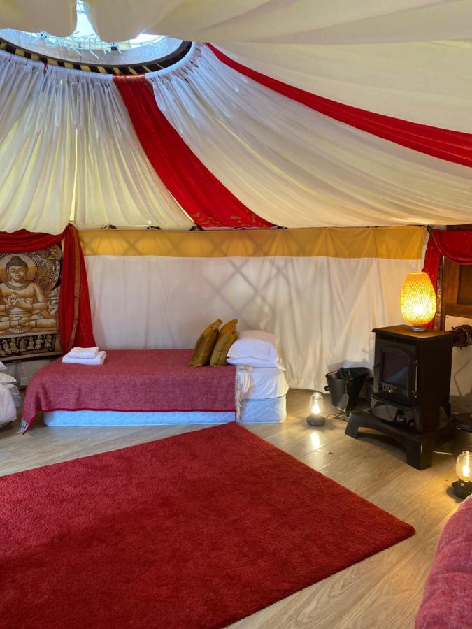 Healing Waters Sanctuary For Exclusive Private Hire And Self Catering Board, Vegetarian, Alcohol & Wifi Free Retreat In Glastonbury Exterior photo